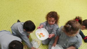 IMG-20190205-WA0016