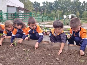 IMG-20191003-WA0089