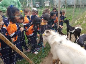 IMG-20191003-WA0090