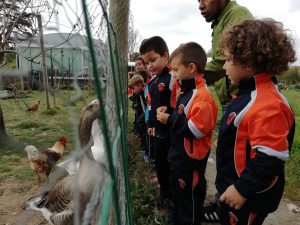 IMG_20191002_112416