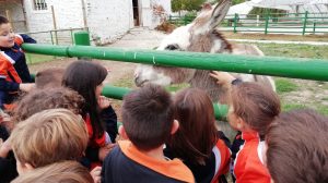 IMG_20191002_112847