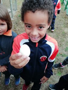 IMG_20191002_114700
