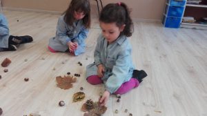IMG-20191031-WA0012