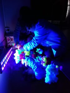 IMG-20200116-WA0101 (1)