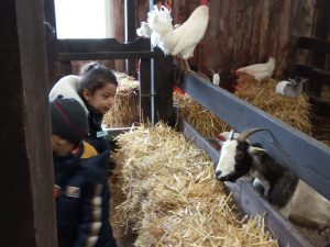 thumbnail_IMG_20200129_111457