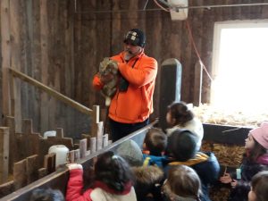 thumbnail_IMG_20200129_111527