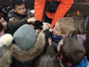 thumbnail_IMG_20200129_112603