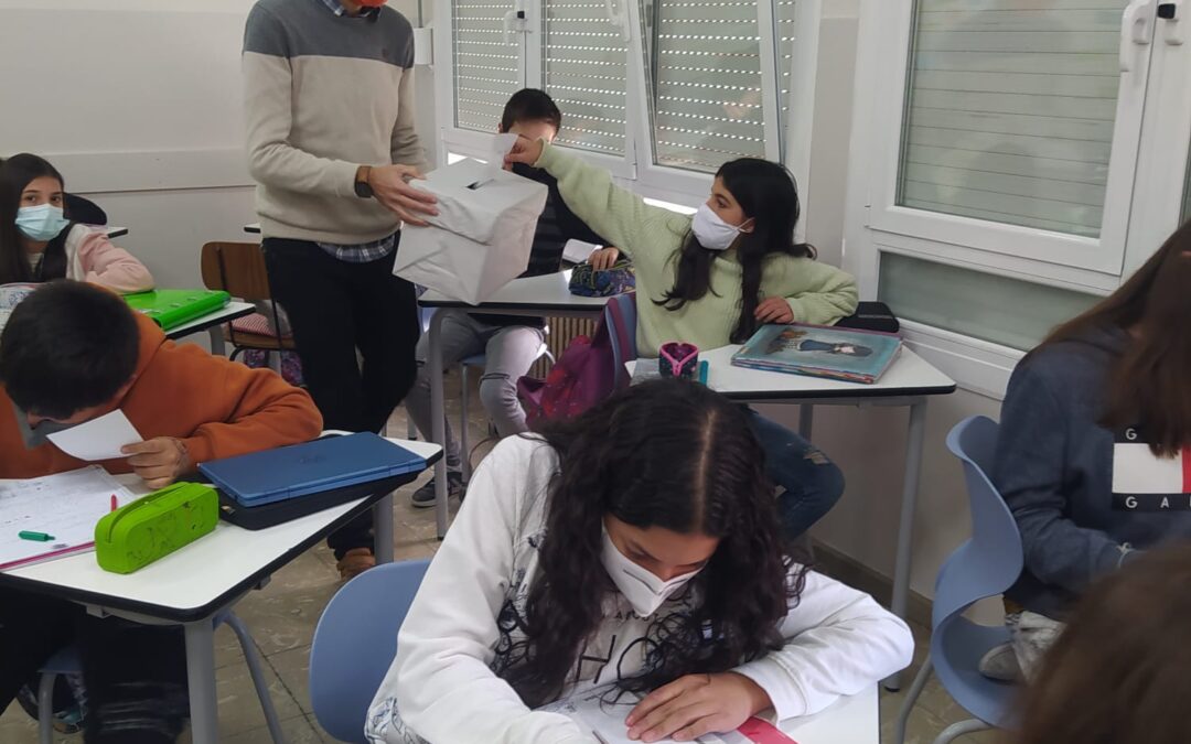 WhatsApp Image 2020-12-02 at 18.16.39 (1)